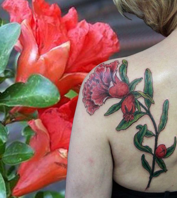 tattoo floral fleur de grenadier couleur